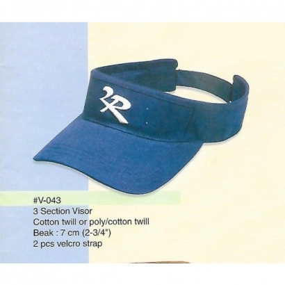 3 section visor.jpg